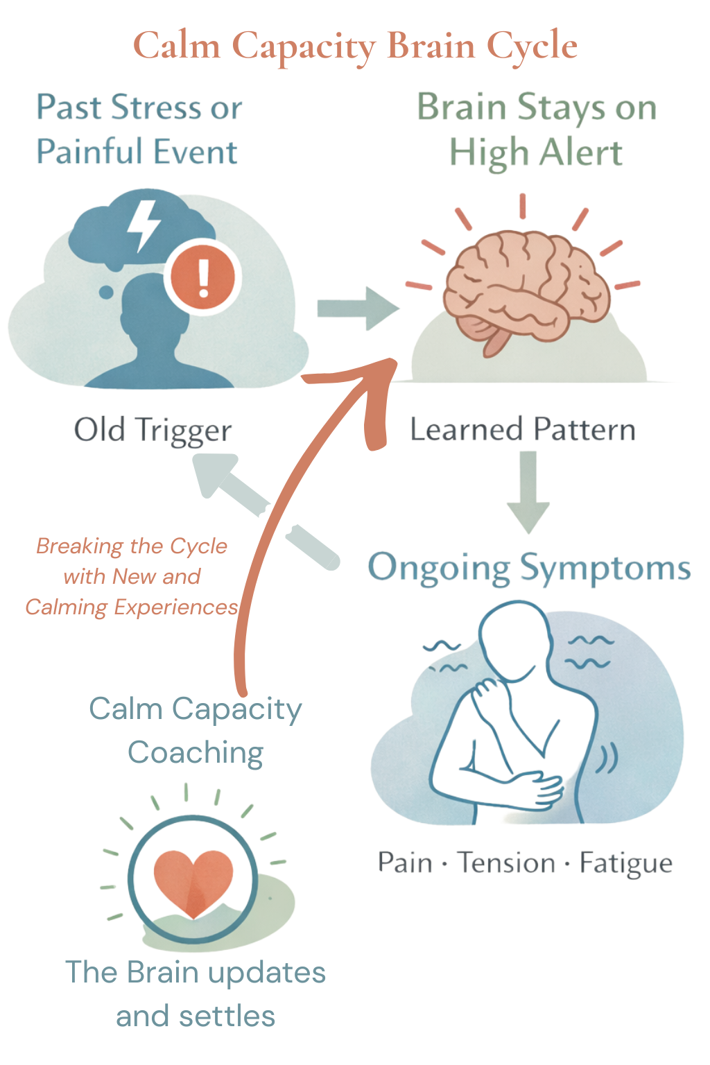 Calm Capacity Brain Cycle